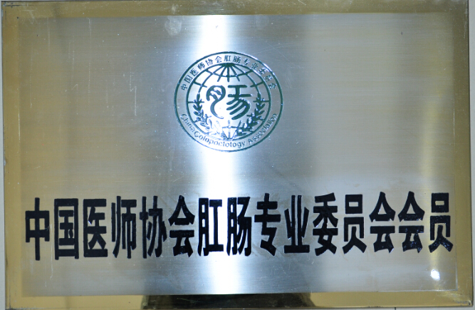 中国医师协会肛肠专业委员会会员